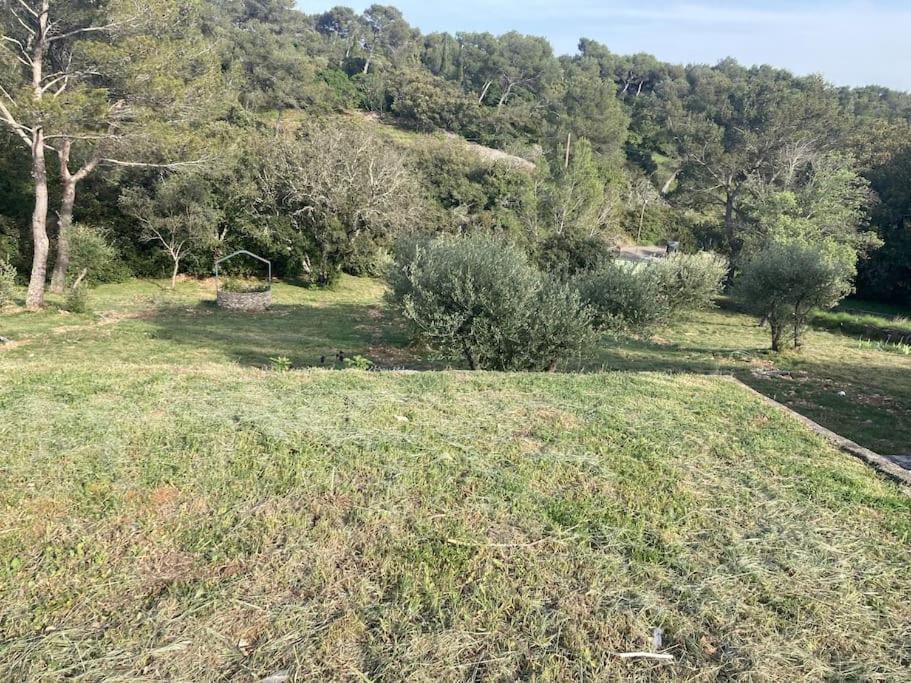 Magnifique Villa De Luxe Au Coeur De La Garrigue ニーム エクステリア 写真